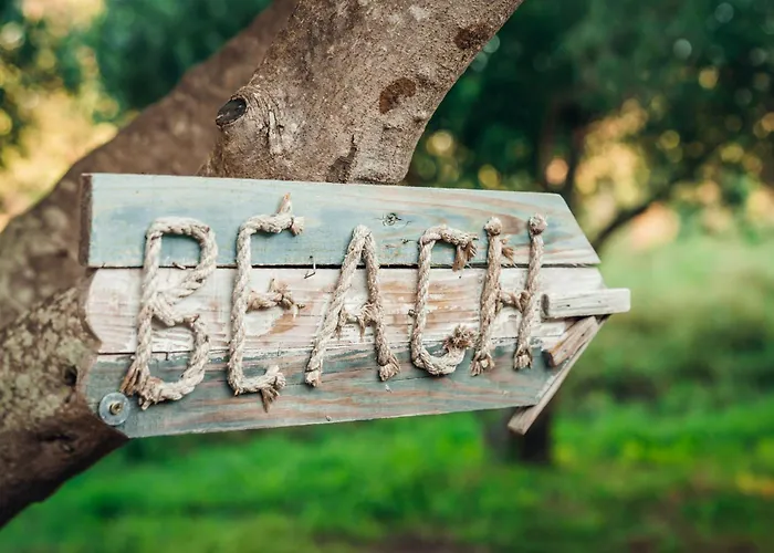 House No 4 Пакоштане